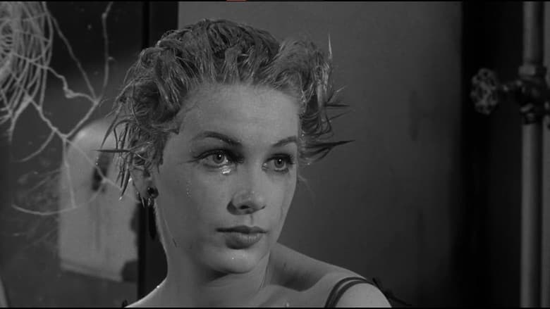 Too Late Blues still