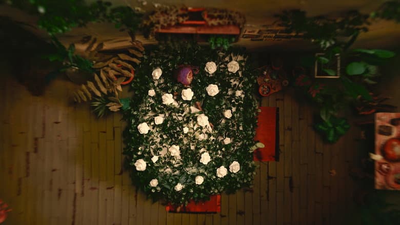 Las plantas también mueren still