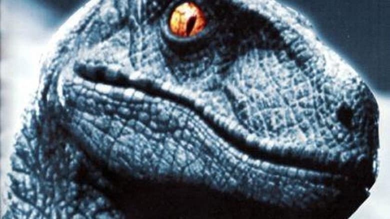 Raptor still