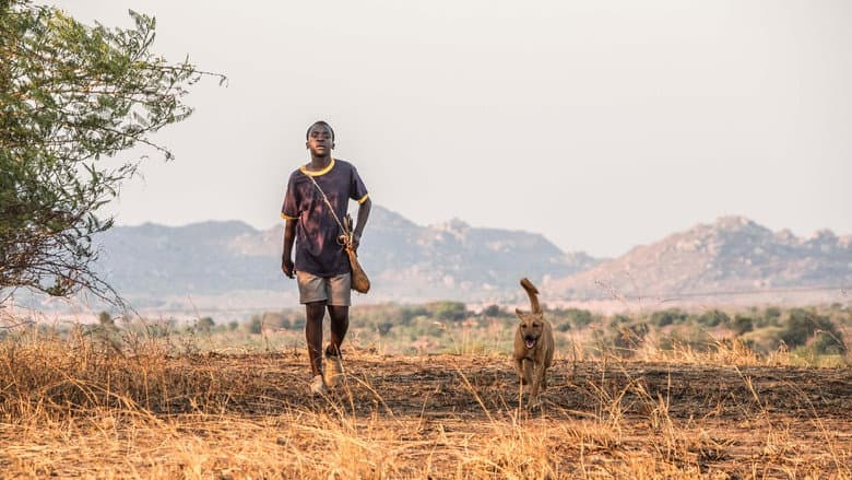 The Boy Who Harnessed the Wind still