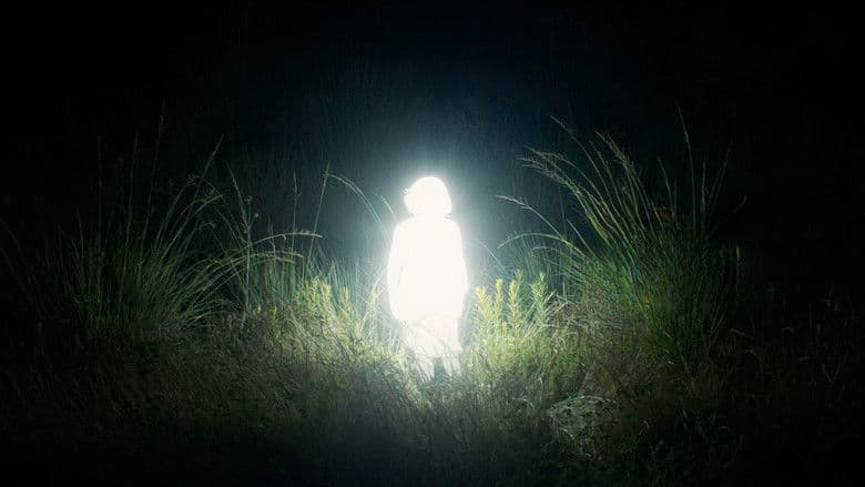 Chronicles of a Wandering Saint still