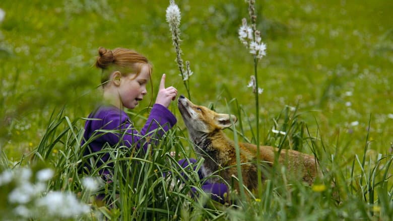 The Fox and the Child still