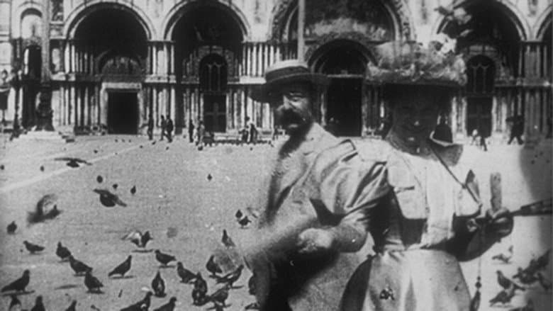 Pigeons sur la place Saint-Marc still