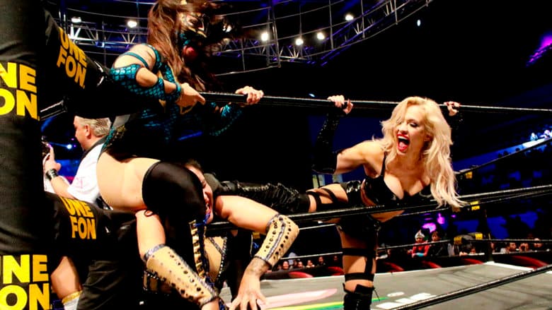 AAA Héroes Inmortales XII still