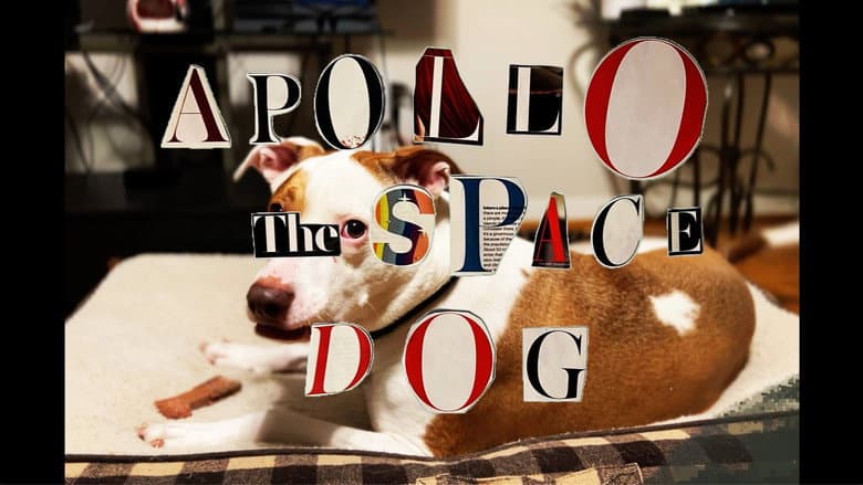 Apollo: The Space Dog still