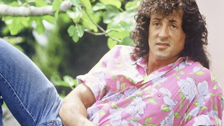 Stallone, profession héros still