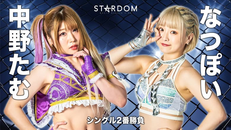 Stardom Fight in the Top 2022 ~Nagoya Summit Battle~ still