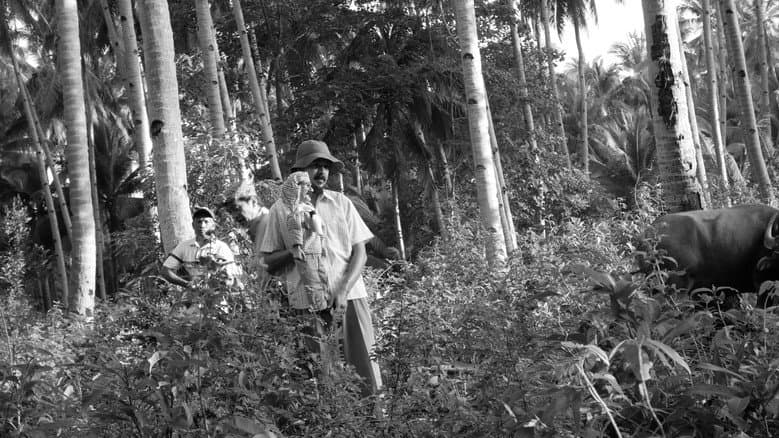 History of Ha still