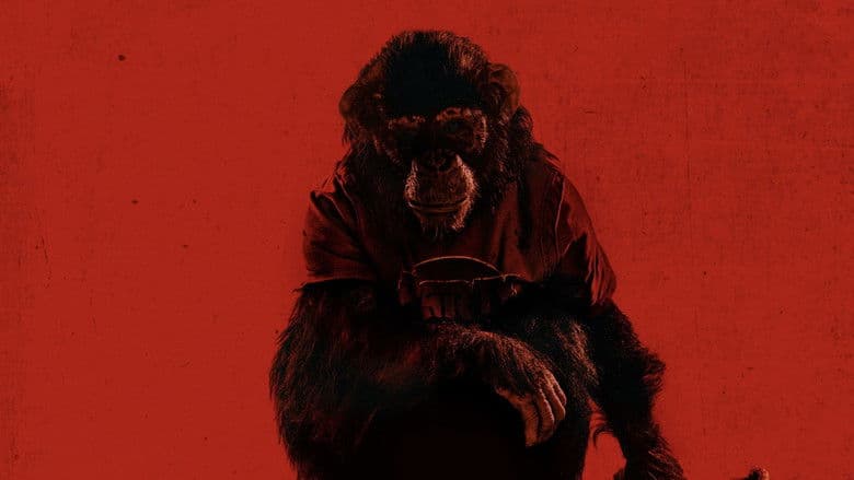 Primate still