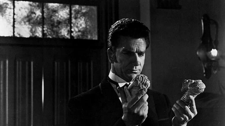Dark Intruder still