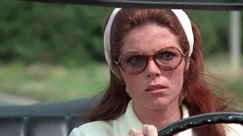The Lady in the Car with Glasses and a Gun still
