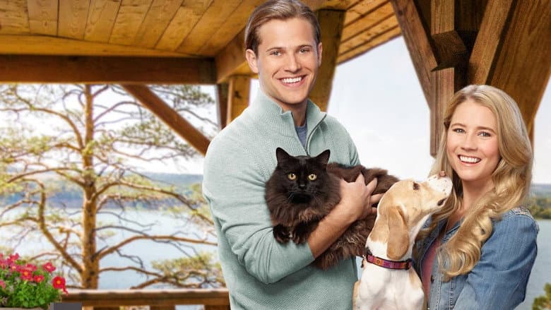 Like Cats & Dogs still