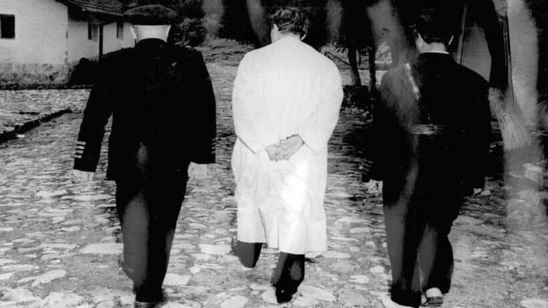 Demirkırat: Execution still