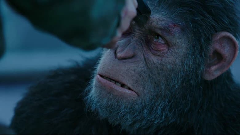 War for the Planet of the Apes still