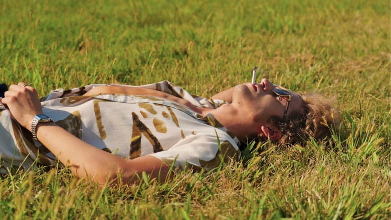 'Mr. Paradise' still