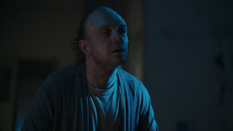 FESTER still