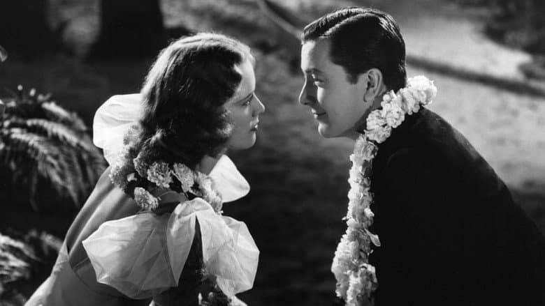 Honolulu still
