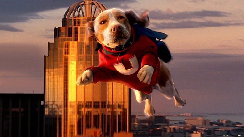 Underdog still
