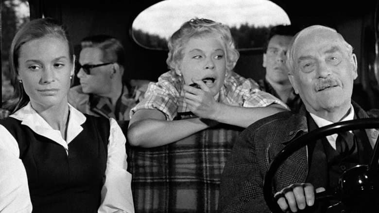 Wild Strawberries still