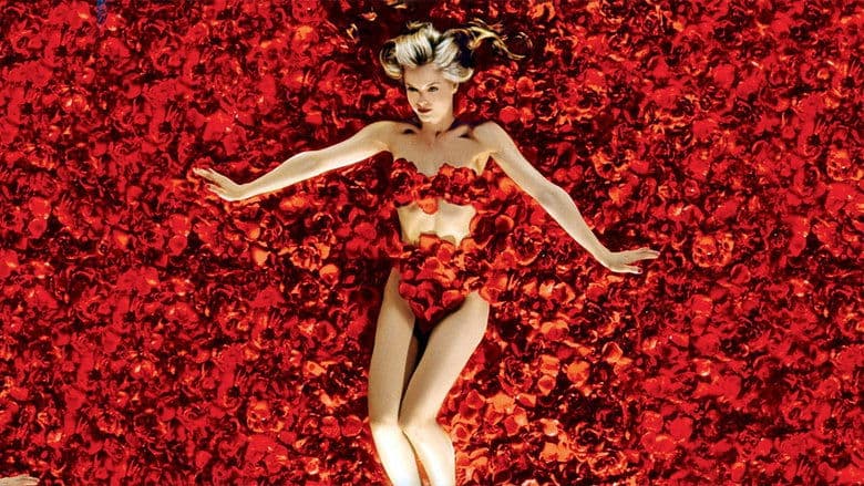 American Beauty still