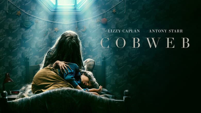 Cobweb still