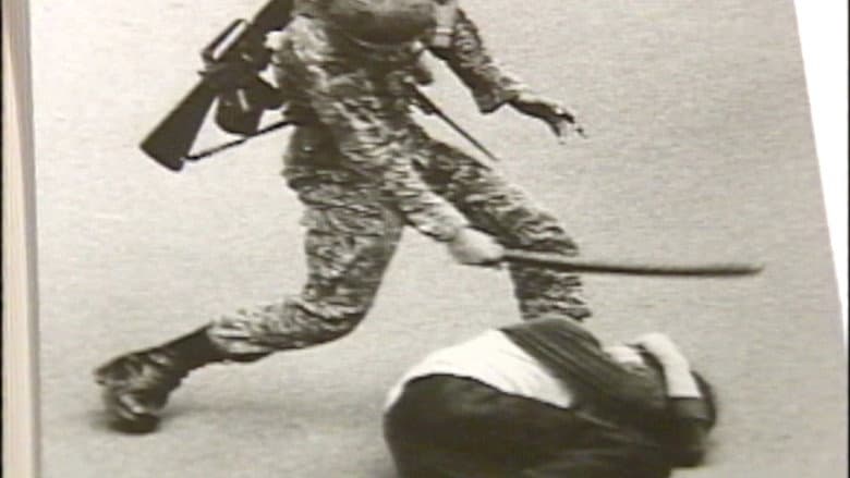 The Hinzpeter Story still
