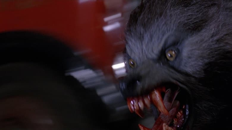 An American Werewolf in London still