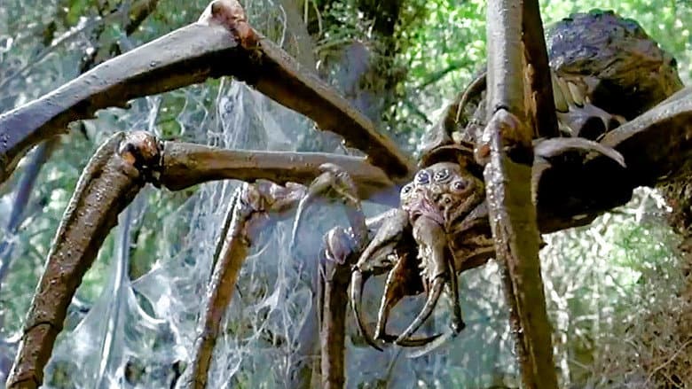 Arachnid still