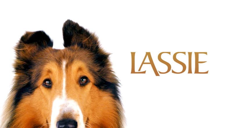 Lassie still