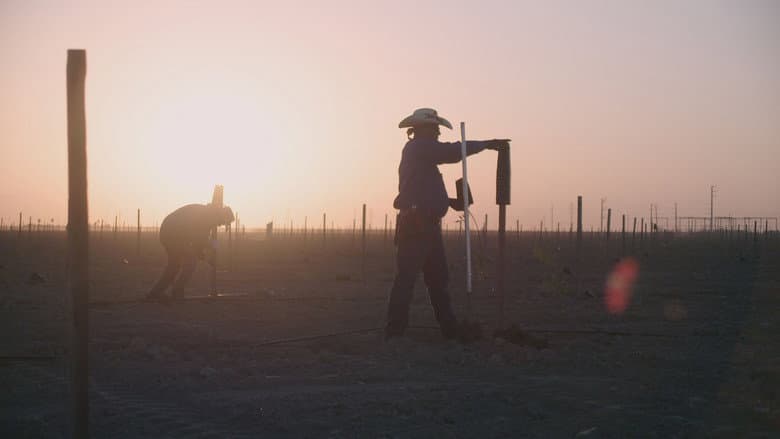 Oaxacalifornia: The Return still