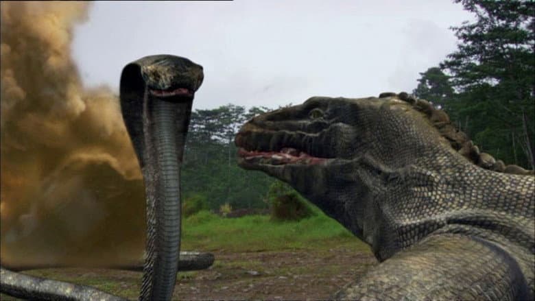 Komodo vs. Cobra still