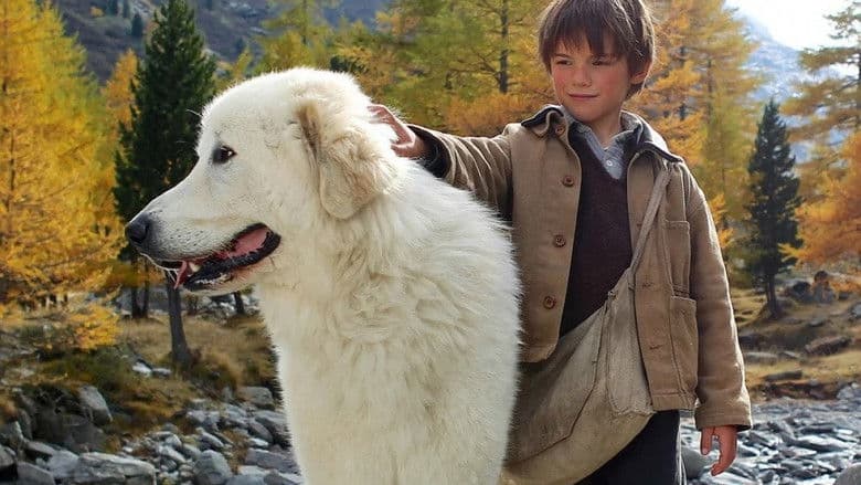 Belle and Sebastian still