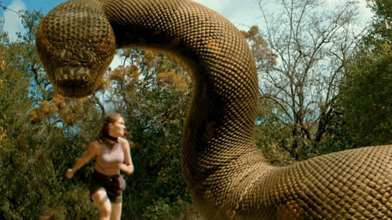 The Anacondas still