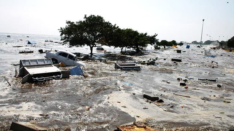 Asian Tsunami: The Deadliest Wave still