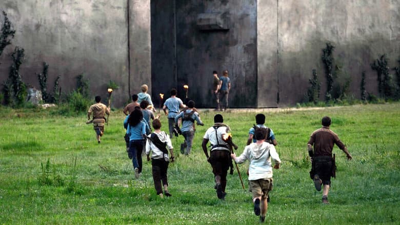 The Maze Runner still