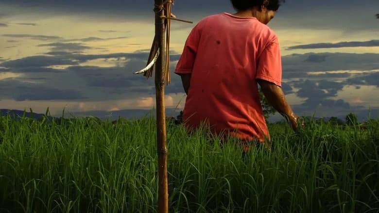 Agrarian Utopia still