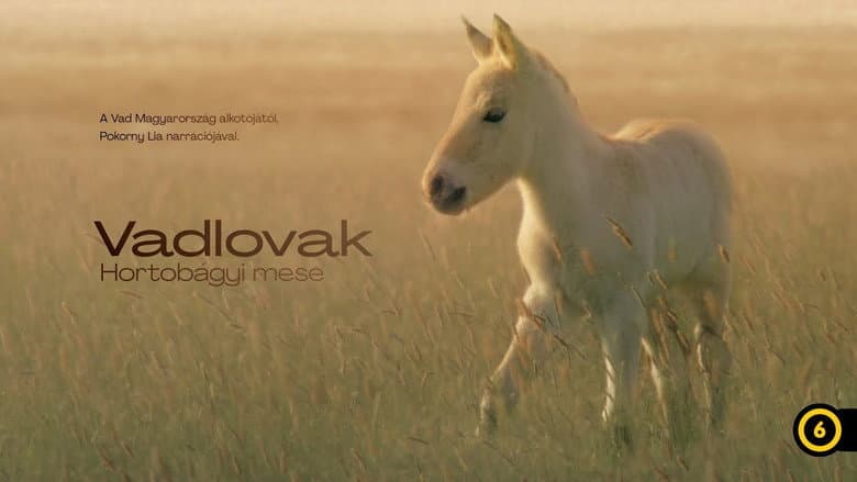 Wild Horses - A Tale From The Puszta still