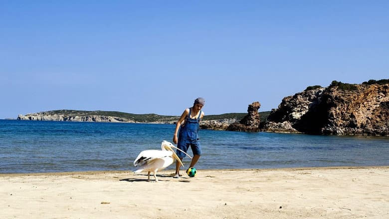 Nicostratos the Pelican still