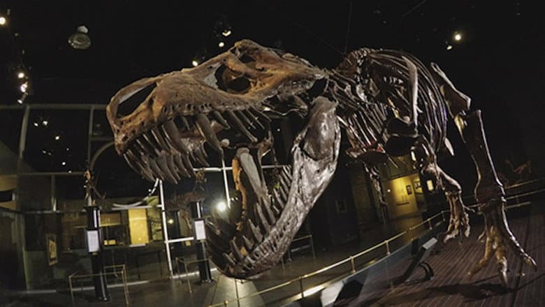Dinosaur Extinction: Behind the Asteroid Impact Theory still