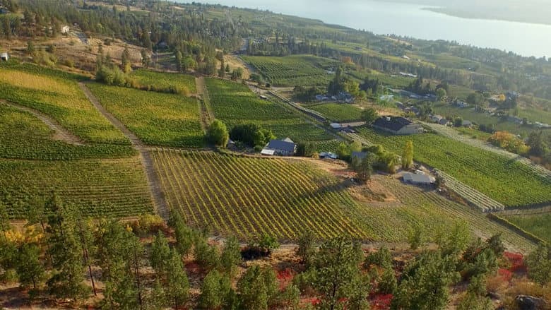 The Orchard still