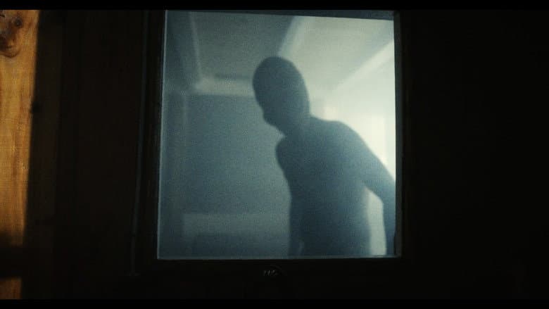 The Visitor still