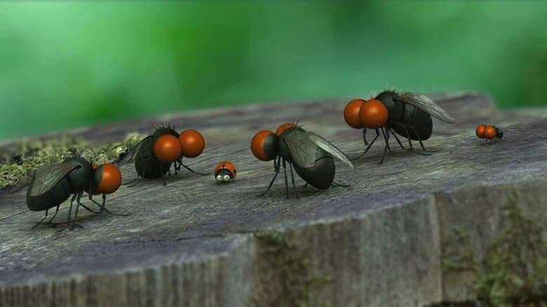 Minuscule: Valley of the Lost Ants still