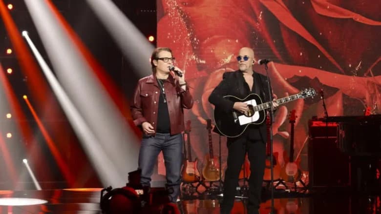 La fête de la chanson française - 20 ans d'émotions still