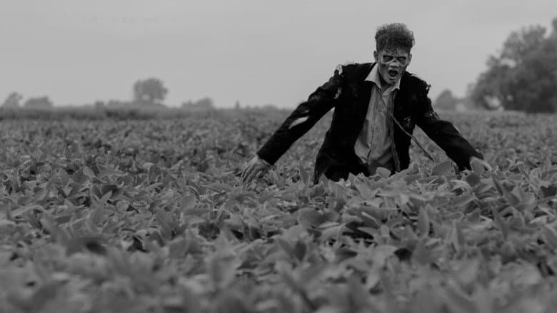 Vampire Zombies...from Space! still
