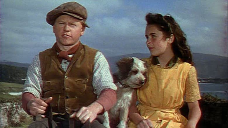 National Velvet still