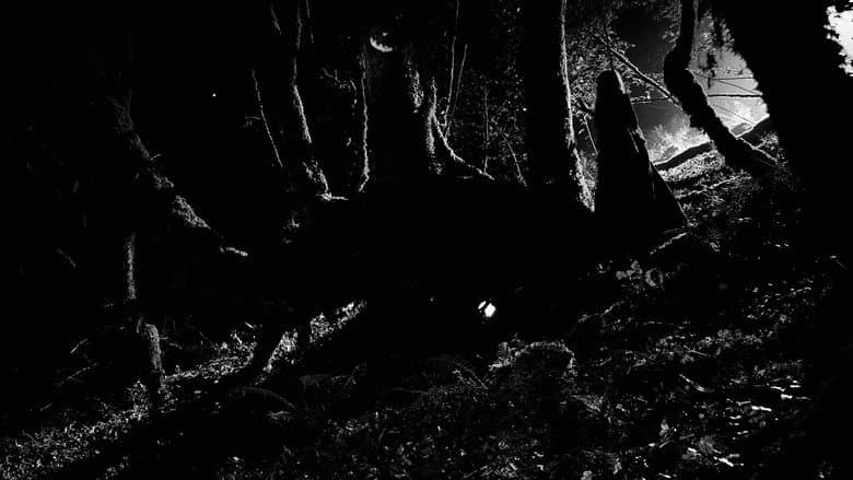 When Darkness Comes still