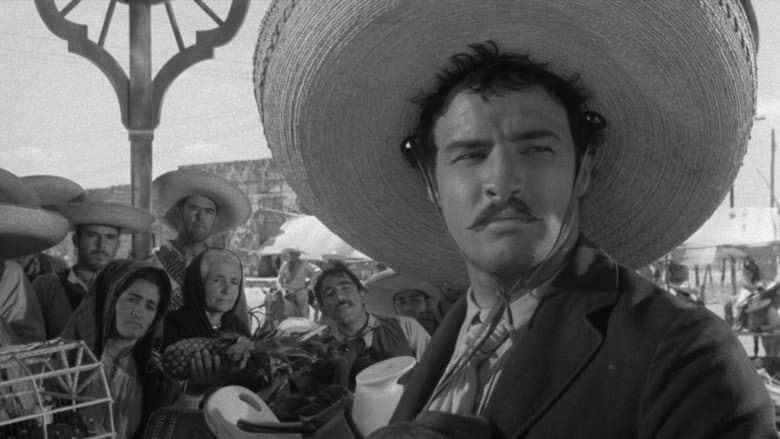 Viva Zapata! still