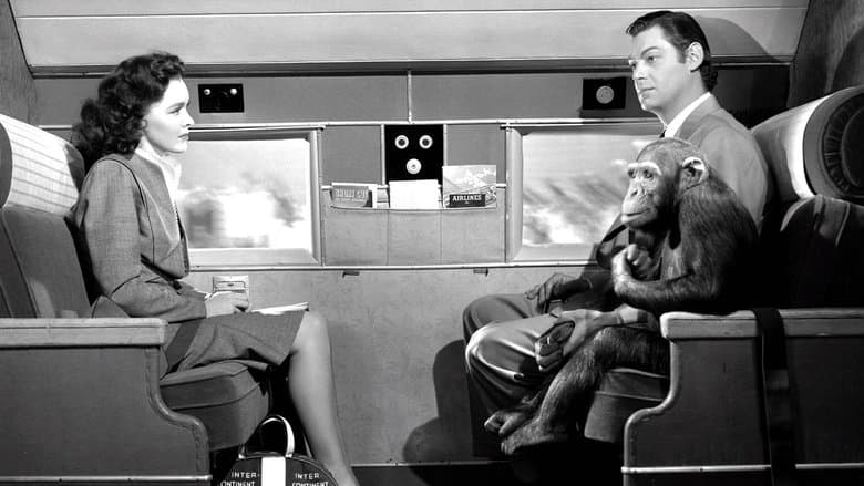Tarzan's New York Adventure still