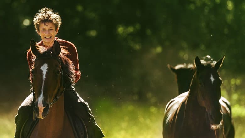 Out Stealing Horses still