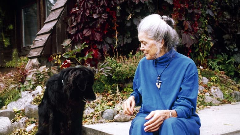 Kathleen Shannon: On Film, Feminism & Other Dreams still